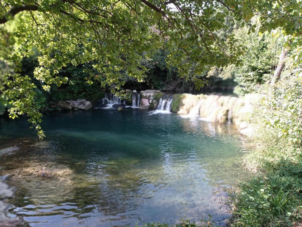 Appartement Adagio Solliès-Pont